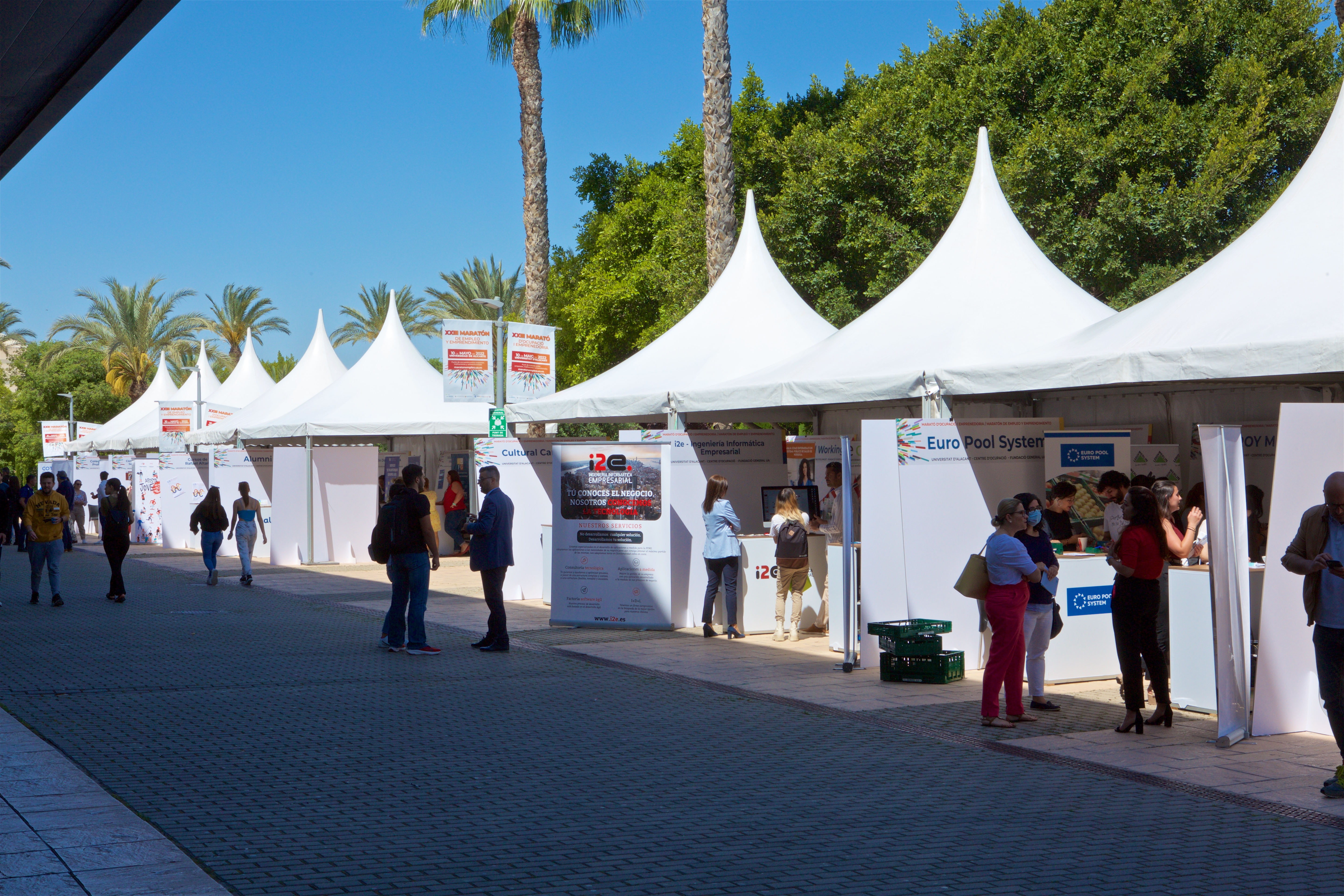 MARATON_DE_EMPLEO_GIPE_2022_3146